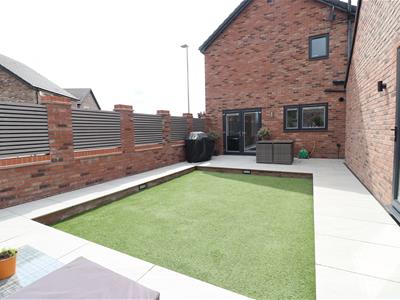 Picture 14